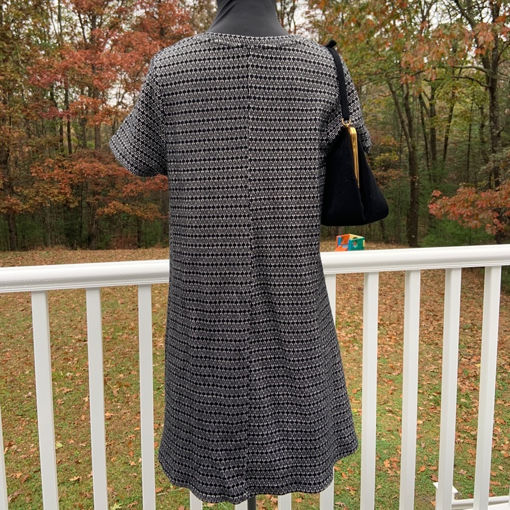 Zara Trafaluc Large A-Line Dress - Picture 4 of 8